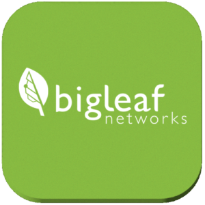 Pax8_Bigleaf-300×300