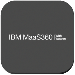 Pax8_IBMMaa-300×300